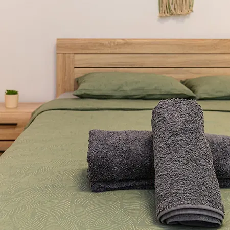 Casa Alemar Guest house Brasov