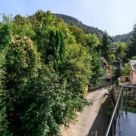 Guest house Casa Alemar Brasov